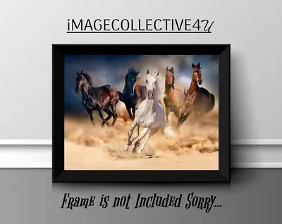 Horse Wildlife  A4 Print Picture Poster  Wall  Art Home Decor Unframed Gift New • £3.99