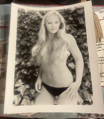 Charlene TILTON Irving Klaw Archives Movie Star News Vintage Photo 8x10 1980s #4 • $8.99