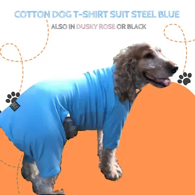 Steel Blue Cotton Dog T-shirt Suit Dog Allergy Suit By Equafleece® • £20