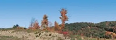 Realistic Backgrounds HO Scale 704-16: MOUNTAINS IN AUTUMN SCENE 'A' 13  X 38    • $12.99