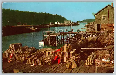 Maine Lobster Men's Wharf Showing Lobster Traps & Buoys - Vintage Postcard • $4.41