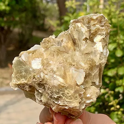 338G Natural Quartz Golden Lepidolite Golden Mica Crystal Specimen • $3.76