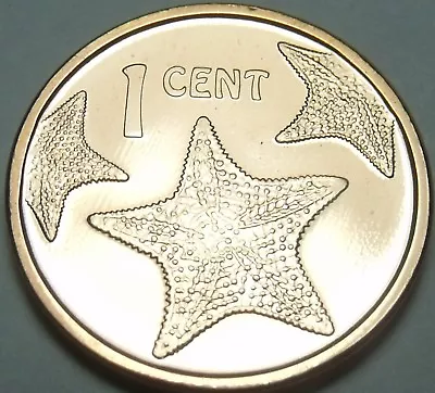 Bahamas Cent 2009 Gem Unc~Starfish~Free Shipping • $2.99