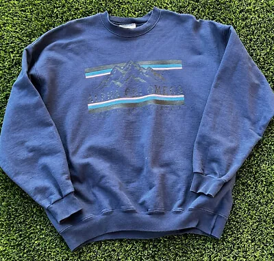 Vintage Alpha Chi Omega Sweatshirt Large Blue Established 1885 Sorority Hanes • $29