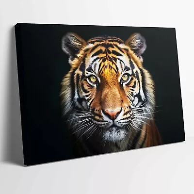 Tiger In Black Animal Stretched Canvas Or Unframed Poster Wall Art More Sizes • £12.99