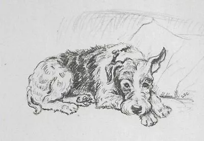 Welsh Terrier - CUSTOM MATTED - 1945 Vintage Dog Art Print - G. Cook • $15