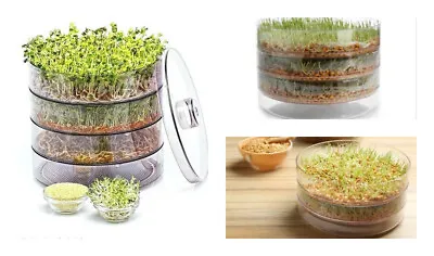 £12.99 • Buy Three Levels SEED SPROUTER GERMINATOR FOR BEANS & SEEDS/Healthy/ Organic/Sprouts