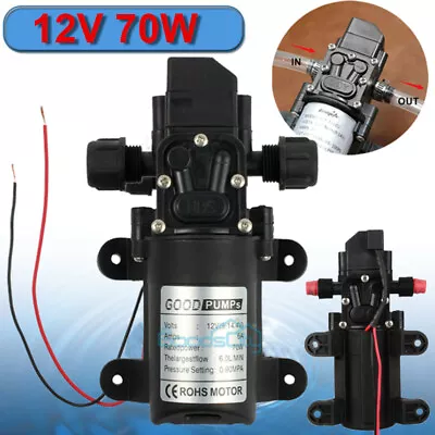 Fuel Transfer Pump 12 Volt Oil Diesel Gas Gasoline Kerosene Car Tractor Truck US • $31.99