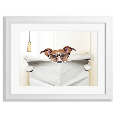 Photo Jack Russell Toilet Reading Newspaper Art Print 12X16 Premium White Frame • £29.99