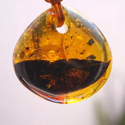 Mexican Amber Pendant With Leaf Inclusion 9.3 G • $139