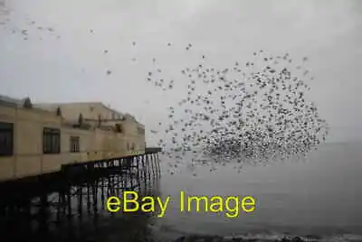 Photo 6x4 Starlings Aberystwyth Pier  C2011 • £2