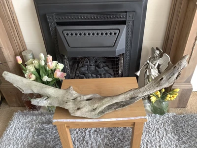£9.99 • Buy Driftwood , Aquarium, Vivarium, Art, Craft,shop Window/Floral Display,
