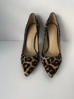 Michael Kors Claire Pumps - Leopard/cheetah/animal Print Haircalf - 8.5m - *new* • $69.99