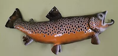 26  Male Brown Trout Taxidermy Mount Fish Real Skin Mount • $185