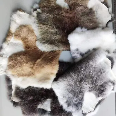 30pcs Natural Rabbit Skin Pelt Fur Hide Leather Tanned Craft Skin DIY Multicolor • $132.99