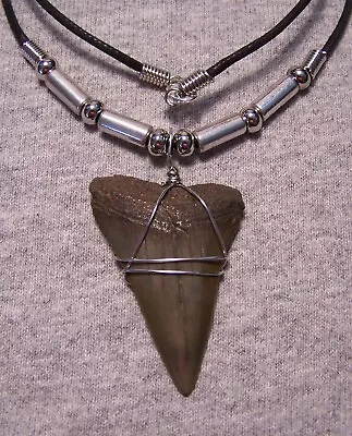 Mako Shark Tooth Necklace 1 7/8  Shark Teeth  Fossil Jaw Megalodon Diver Huge! • $26