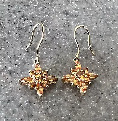 Vintage 10K Yellow Gold Spessartite Garnet Drop Dangle Earrings • $175