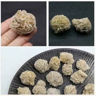 $2.29 • Buy Bulk Desert Rose Selenite Stones Crystal Healing Bud Love Stone New