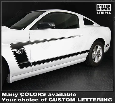 Ford Mustang 2005-2014 BOSS 302 Style Side C-Stripes Decals (Choose Color) • $64.40