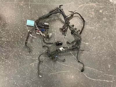 2011 Chevy Cruze Engine Wire Harness 1.4L 4 Cylinder 6 Speed AT • $267.30
