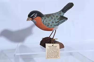 Vintage American Robin Hand Carved Wood Bird • $35