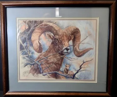 Vintage 1983 K. Maroon BIG HORN SHEEP Print In 17x20 Wood Frame • $28.34