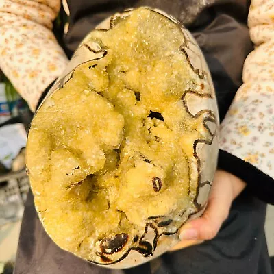 20.57LB Natural Dragon Septarian Geode Quartz Cluster Crystal Egg Healing 9350g • $0.99