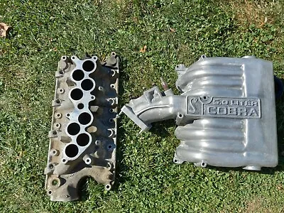 1994-1995 Ford Mustang 5.0L Cobra Intake Manifold GT40 302 SVT EFI  • $950