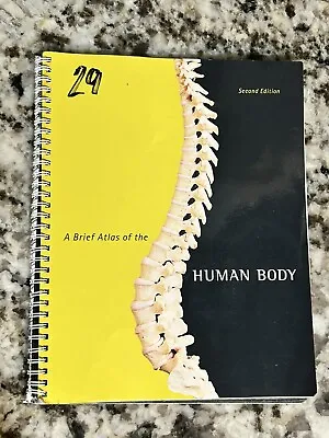 A Brief Atlas Of The Human Body - Spiral-bound By Hutchinson Matt - VERY GOOD • $15.99