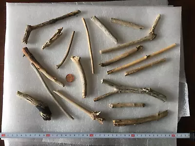£7.99 • Buy DRIFTWOOD PIECES FOR ARTS AND CRAFTS ( Lot 199w)