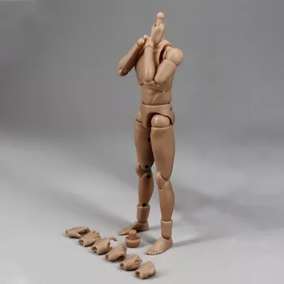 MCCToys 1/12 Standard Male Body Narrow Shoulder Action Figure Model Set MCC023 • $13.46