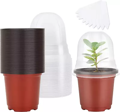 Plant Nursery Pots With Humidity Dome 4  Soft Transparent Plastic Gardening Pot  • $25