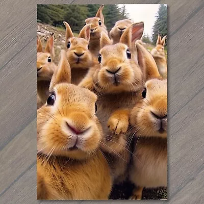 POSTCARD Bunny Selfie Bonanza Adorable Rabbit Photos Brown • $6