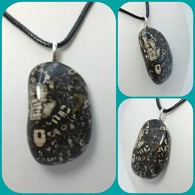 Ancient Michigan Crinoid Fossils Matrix Polished Pendant Necklace Presque Isle • $29.50