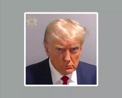 Donald Trump Mug Shot Die Cut Glossy Fridge Magnet • $4.50