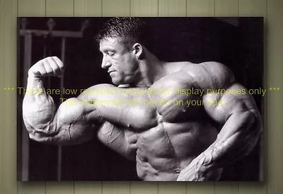 DORIAN YATES BOX CANVAS POSTER BODYBUILDING MUSCLE MR OLYMPIA SIZE A1 A2 Or A3 • £23.99