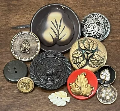 Vintage Antique Lot Of 11 LEAF/LEAVES Buttons - 5/8  To 1-7/8  (JK7) • $10