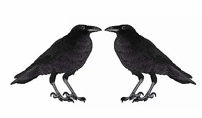 $9.99 • Buy #5107 5  American Black Crown Raven Bird Embroidery Iron On Applique Patch-Pair