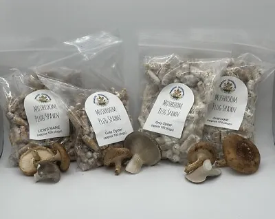 Mushroom Plug Spawn Variety Pack (4 100 Packs) • $40