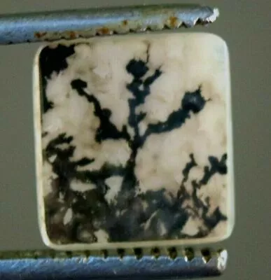 13.00*12.00 Mm Natural Dendritic Agate Unique Piece Certified Gemstone • $23.75
