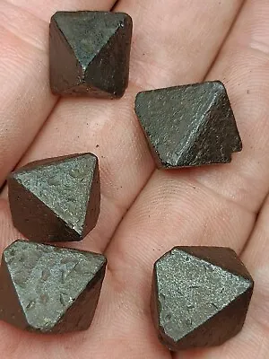 Octahedron Magnetite Natural Terminated Crystals With Nice Lustrous/5 Pcs  • $75