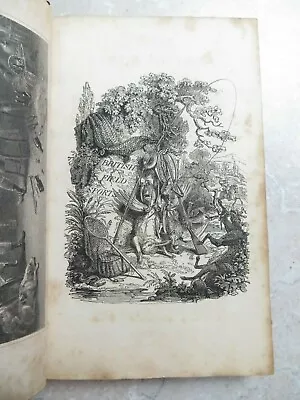 1818 British Field Sports Scott Vol I Shooting Hunting Coursing Racing Cocking  • £129.99