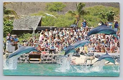 Whalers Cove Sea Life Park Makapuu Point Oahu Hawaii Porpoises Vintage Postcard • $4.75