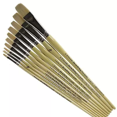 Pro Arte Series Long Flat Artists Brushes Single Acrlyic Oil Paint Brush Hogs • £13.02