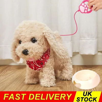 Electronic Dog Walking Barking Remote Puppy Dog Plush Toy Grooming Set Kids Gift • £16.89