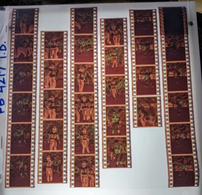 £11.88 • Buy PFM13-1004 CARDINALS VS SEAHAWKS NFL LOT OF (500+) 35mm ORIGINAL NEGATIVES