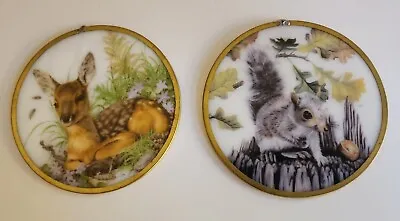 Vintage Deer & Squirrel Round Glass Decor 5  Wildlife Country Wall Hanging • $28.49