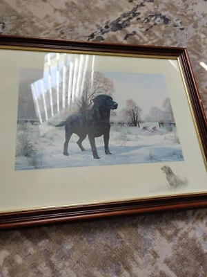 £49.99 • Buy Nigel Hemming Print Black Labrador 