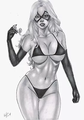 Black Cat (11 X17 ) By Romildo - Ed Benes Studio • $9.99