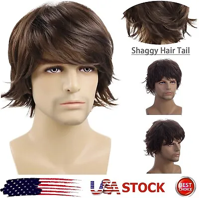 Men's Short Brown Wig Natural Daily Fluffy Synthetic Hair Wig Heat Resistant USA • $11.32